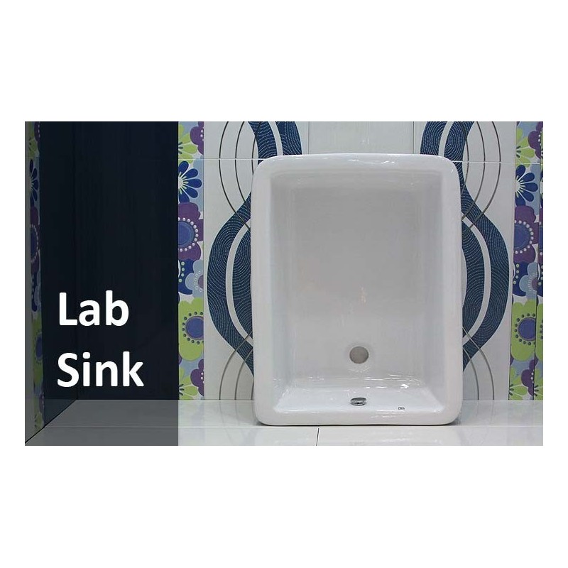 Lab Sink